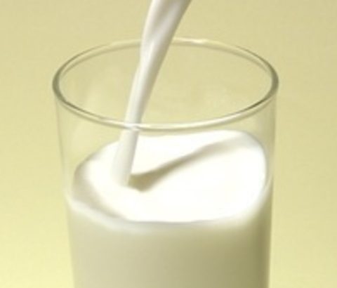 牛乳でバストアップ！たんぱく質を含む食べ物でバストケアする方法は