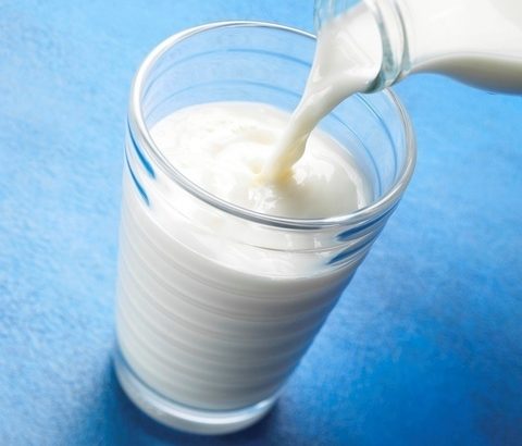 牛乳がバストアップに効果的って本当？牛乳とバストアップの関係を徹底調査！