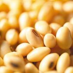 大豆でワキガ・多汗症ケア！食生活から見直す臭い対策